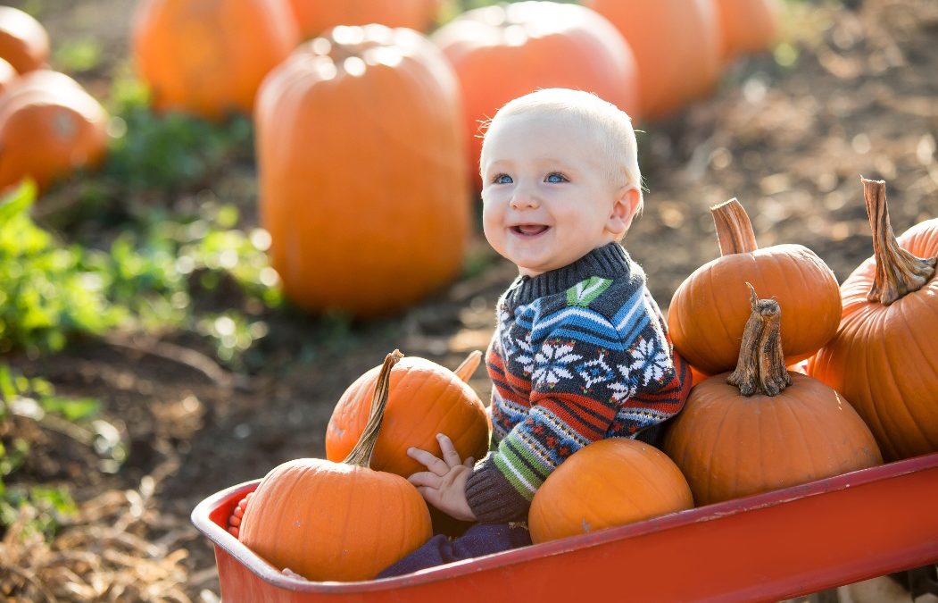 October Menu and Themes